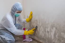 Best Mold Prevention Services  in Orida Ridge, FL